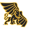 DT Image